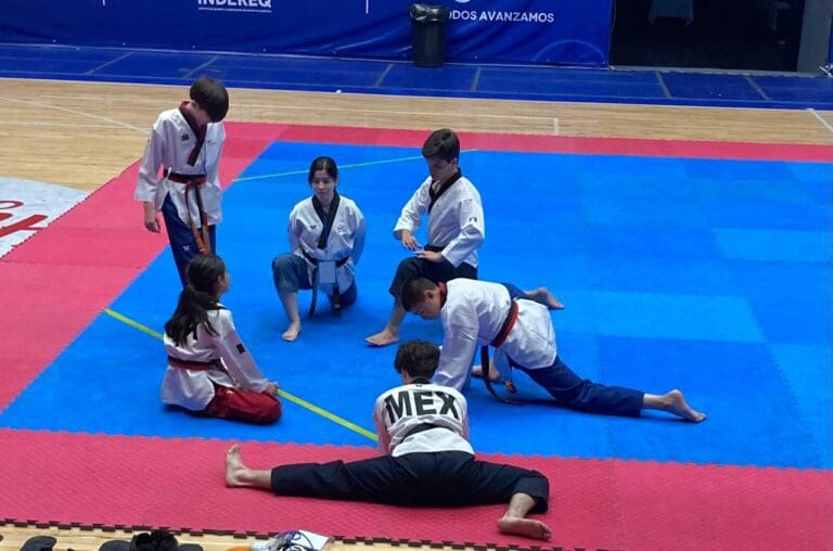 tkd-centrosur-054