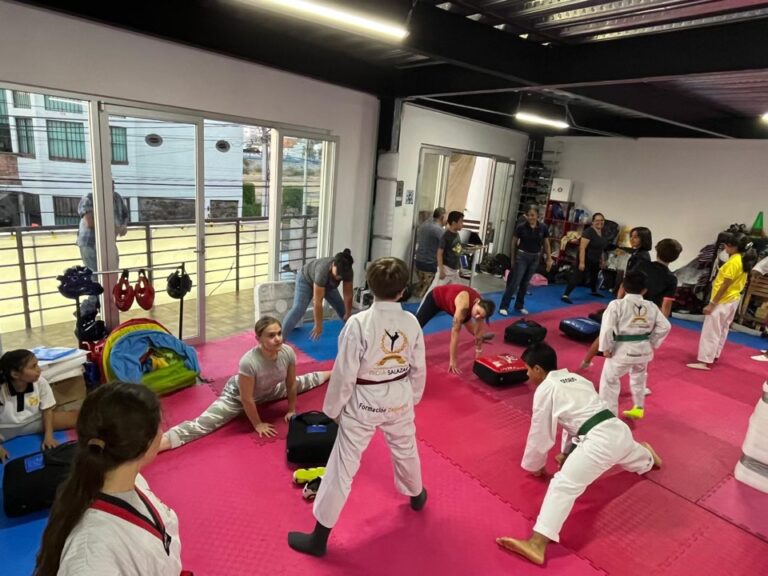 tkd-centrosur-080-compressed